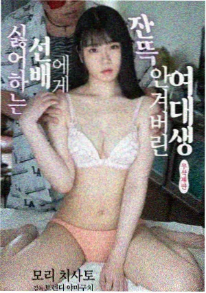 丽宫影院免费观看电视剧·山海情